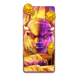 Buffalo
King